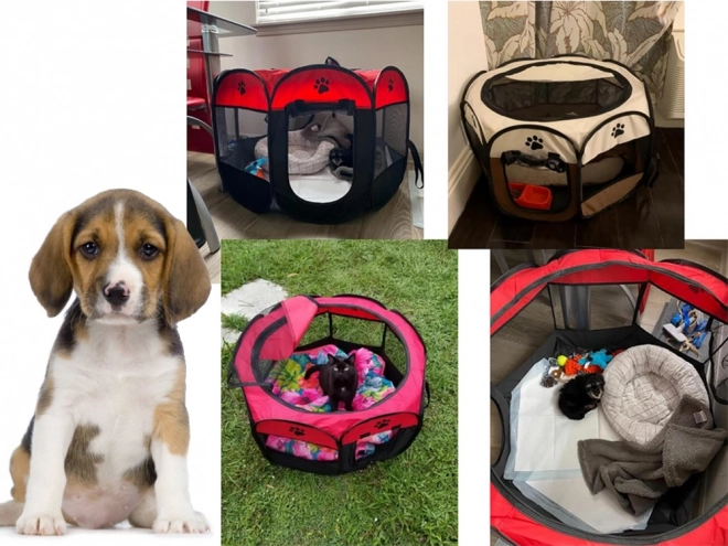Opvouwbare ren voor honden en katten