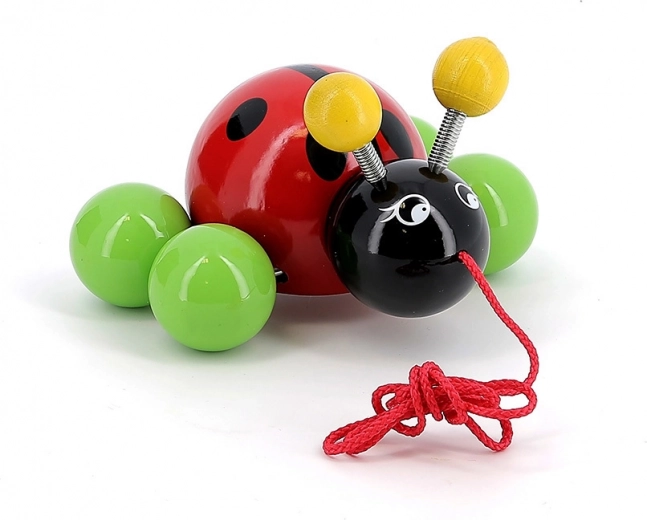 Smooth lacquered wooden build