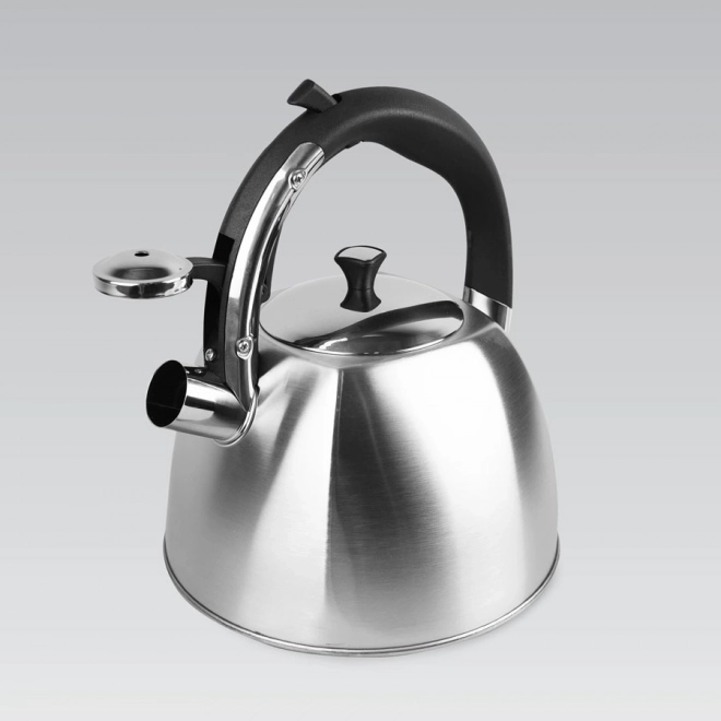 Klassieke 3l theepot Maestro met fluit