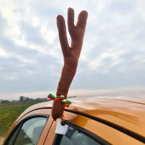 Rendierhoorns voor auto Xtrobb 20223