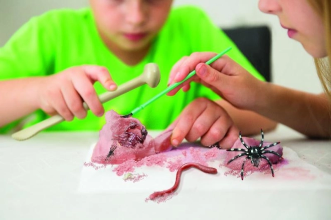 Plezierige en educatieve activiteit
