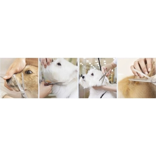 Premium Hundefrisörscheren Set in Etui