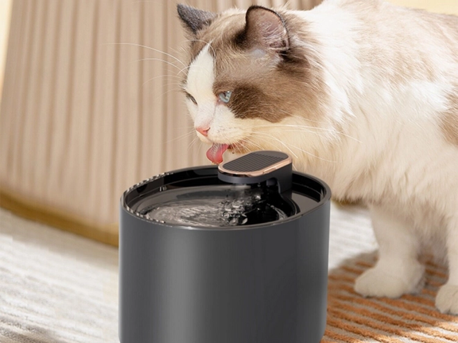 Replaceable Activated Carbon Filters