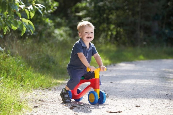 Lena Rolcyclus / loopfiets - kleurrijk