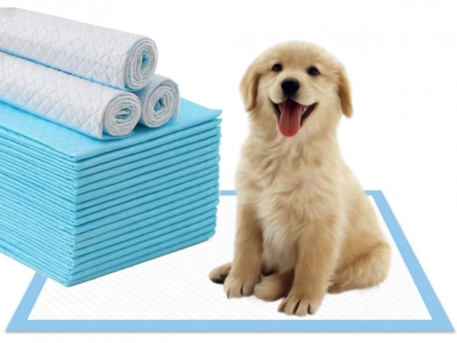 Vlonder voor honden die leren plassen 45x60 50 stuks