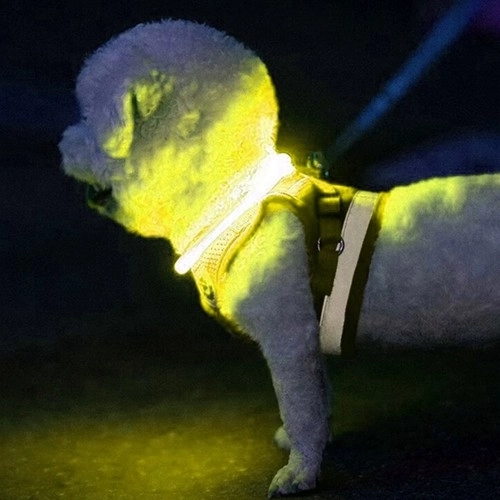 LED-Leuchthalsband für Haustiere mit USB-Ladung und Längenverstellung