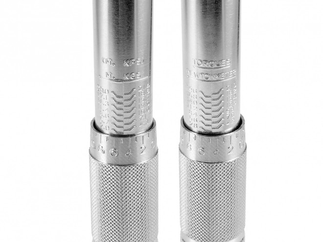 Torque Wrench Set with Case and Sockets