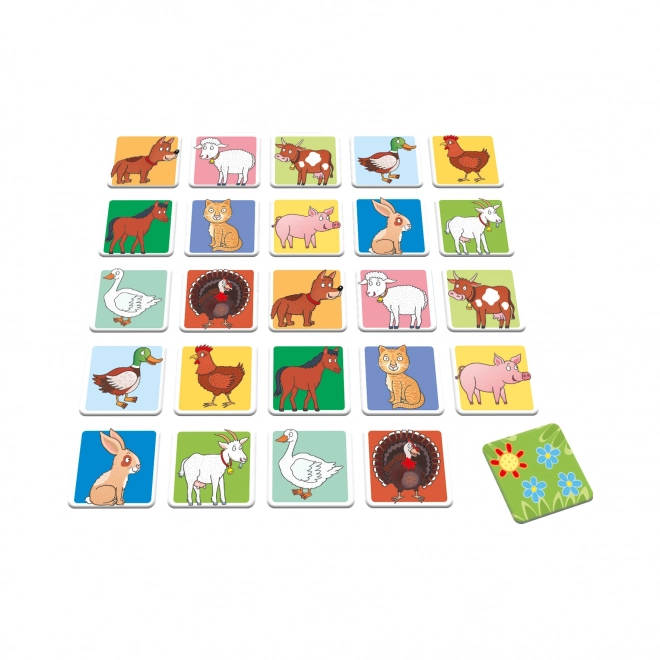 Dino Baby pexeso huisdieren