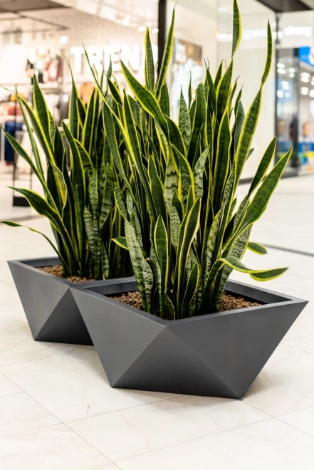 Design bloempot MONUMO VENDETTA hoogte 30 cm antraciet