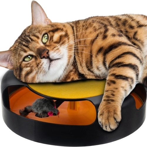 Interactief kattenspeeltje met muis