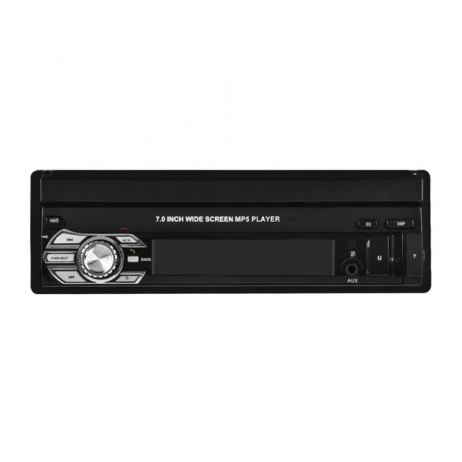Wide multimedia support