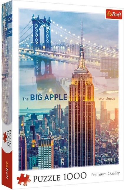 1000-Piece Puzzle: New York at Dawn