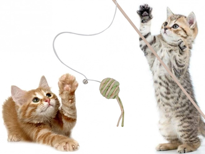 Katzenspielzeug Angel mit Ball und Rassel