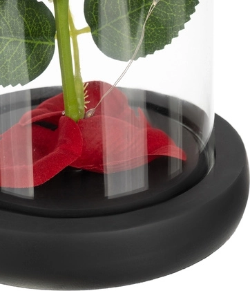 Dauerhafte Schönheit