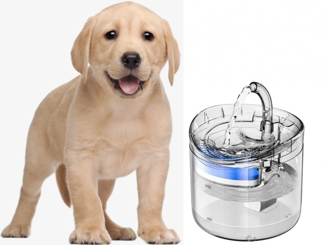 Abreuvoir automatique pour chats et chiens