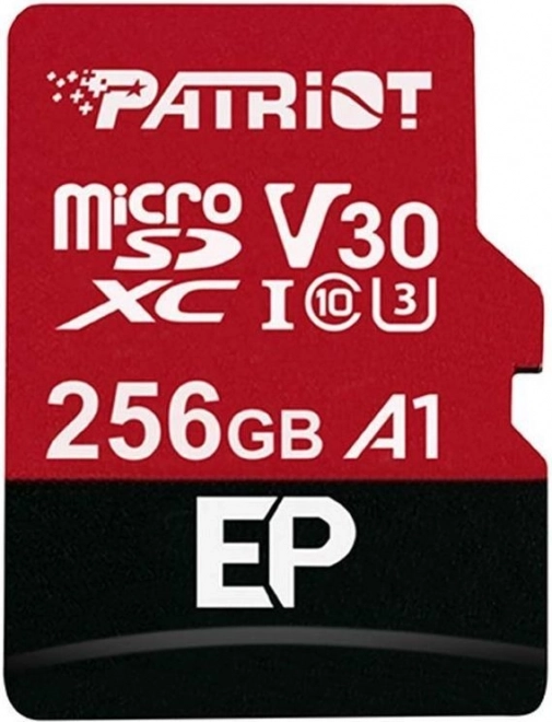 microSDXC Card 256GB Class V30