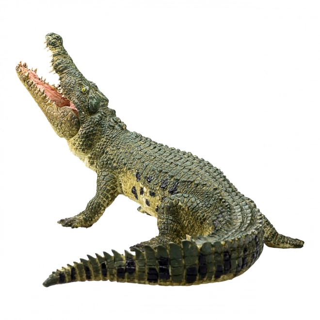 Realistische Krokodil met Beweegbare Kaak