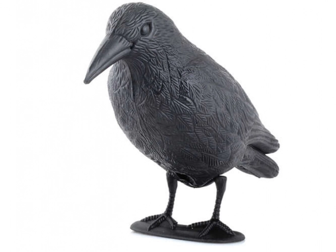Vogelverschrikker - raaf