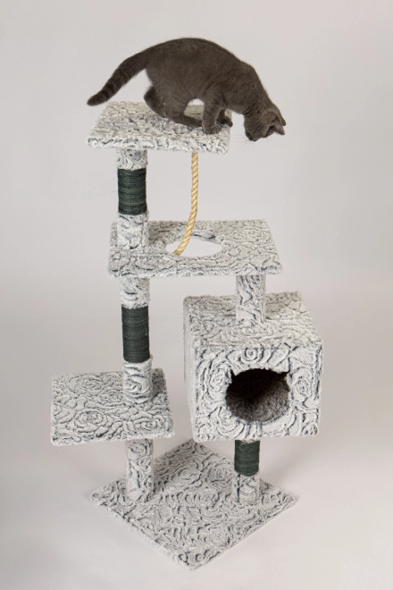 Grote krabpaal voor katten met huisje