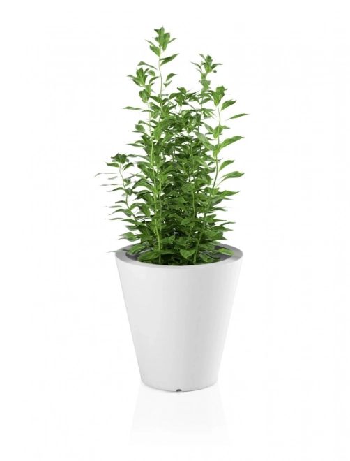 Monumo Ovo witte bloempot