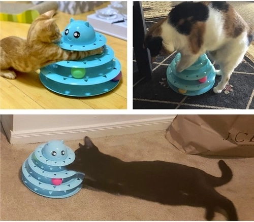 Drie niveaus van vreugde