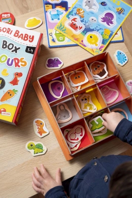 Montessori Color Discovery Box
