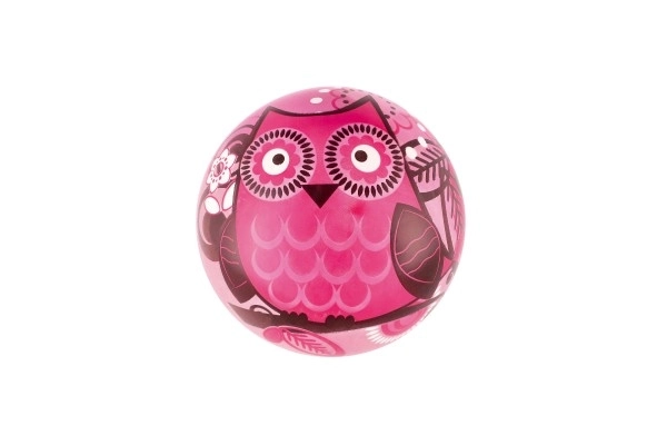 Opgeblazen uil vinyl bal diameter 22cm in net