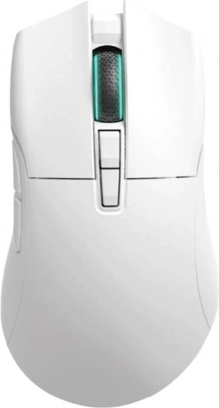 Wireless Mouse Darmoshark N3