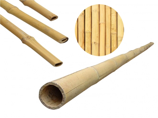 Bamboestok 1,8 m