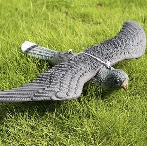 Bird Repellent Falcon