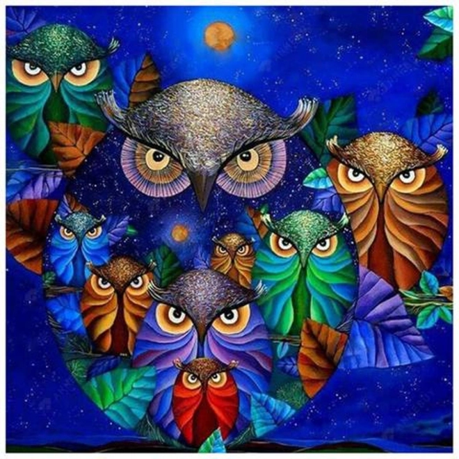 Peinture diamant 7D – hiboux sur le ciel nocturne 30 × 40 cm