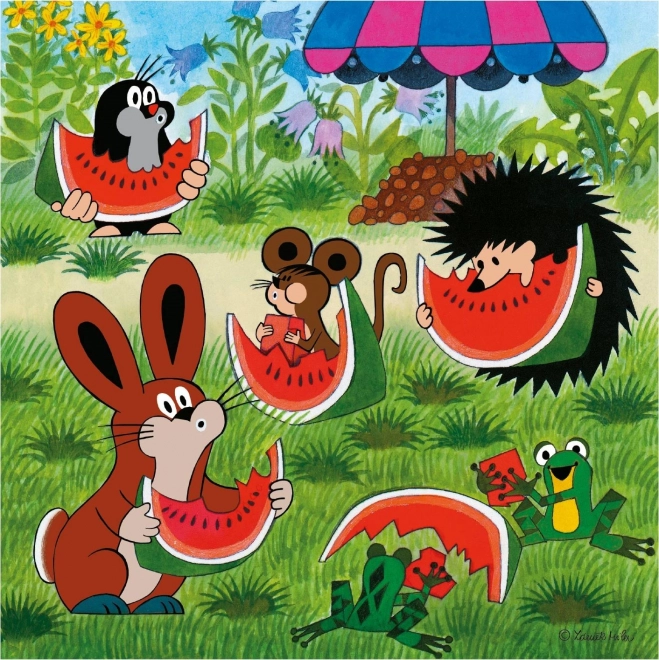 Dino Krteček en paraplu puzzel 3x55 stukjes