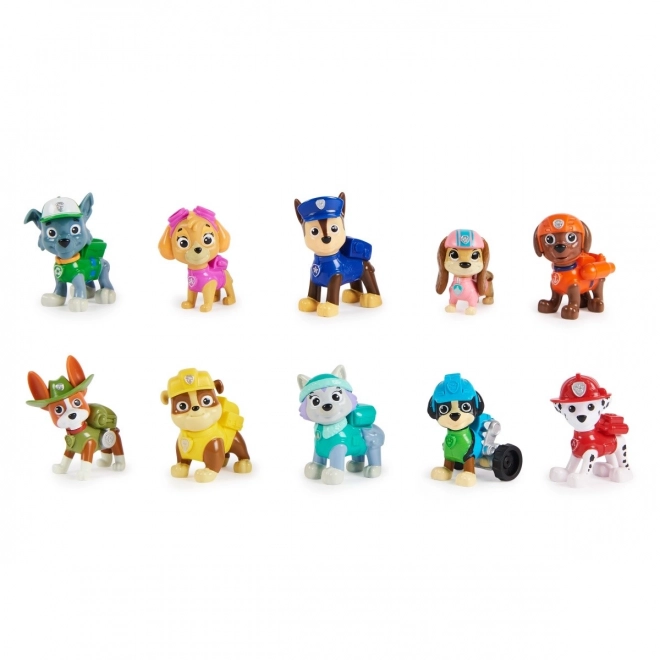 Paw Patrol Verjaardag multi-pack figuren