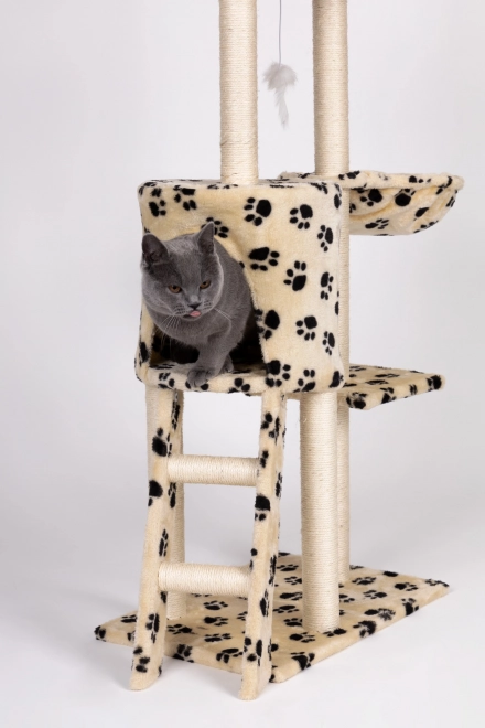 Arbre à chat, maison, arbre, lit, 138cm XL, empreintes de pattes