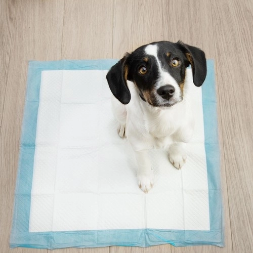 Einweg-Hygienische Unterlagen 60x60 cm - Set mit 50 Stück von Purlov