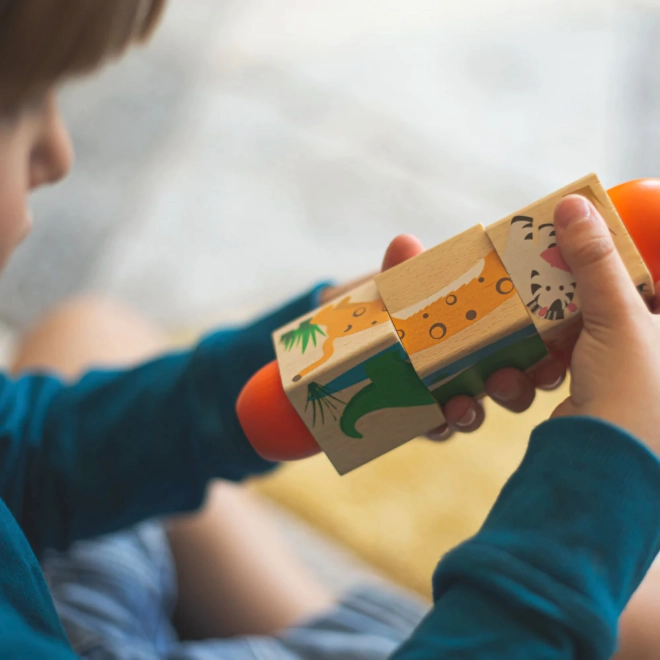 Motor skills and perception development