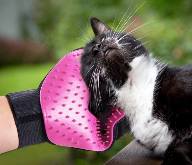 Tierpflegehandschuh