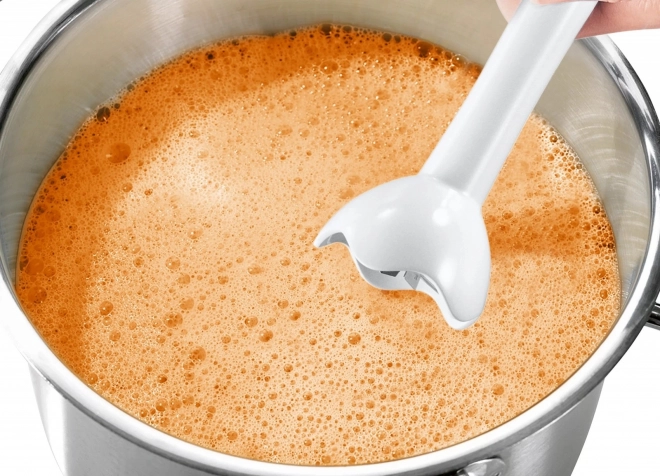 Handmixer Bosch