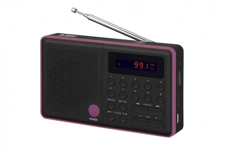Radio Pliszka USB FM Schwarz