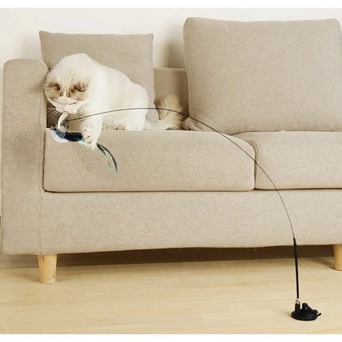 Kattenspeeltje met zuignap en vogeltje