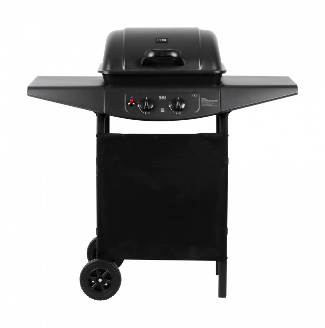 Gasbarbecue BBQ 2000