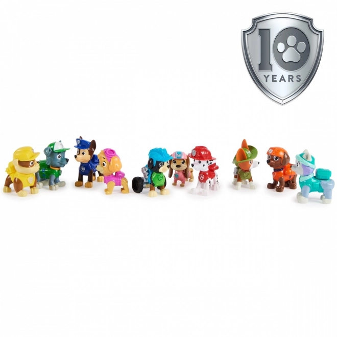 Paw Patrol Verjaardag multi-pack figuren