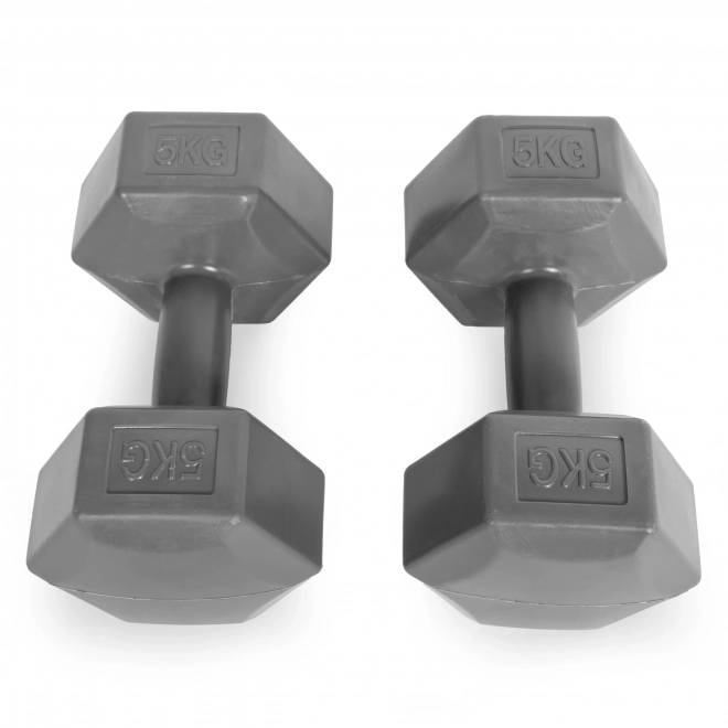 Set van zeshoekige halters 2x5 kg grijs ModernHome
