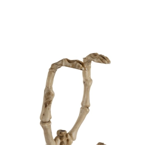Squelette de chauve-souris - décoration 30 cm Malatec