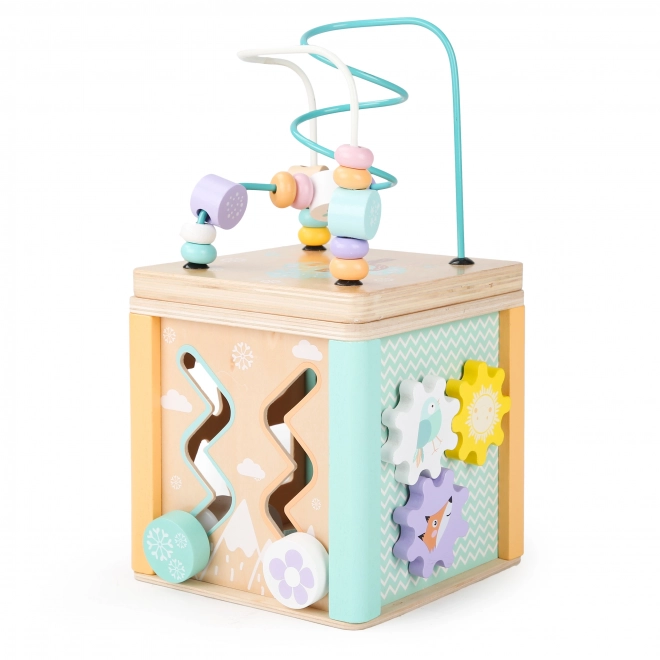 Houten educatieve kubus Ecotoys