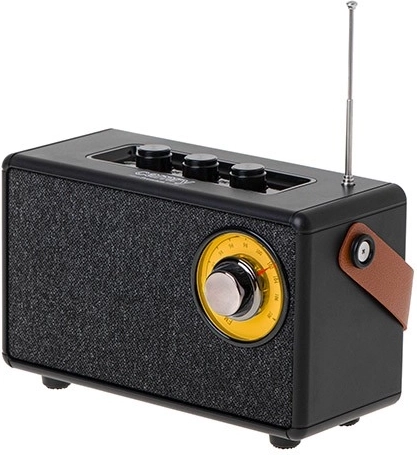 FM radio with analog tuning