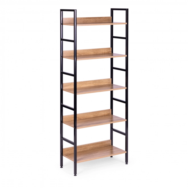 Moderne Bibliothek mit 5 Regalen