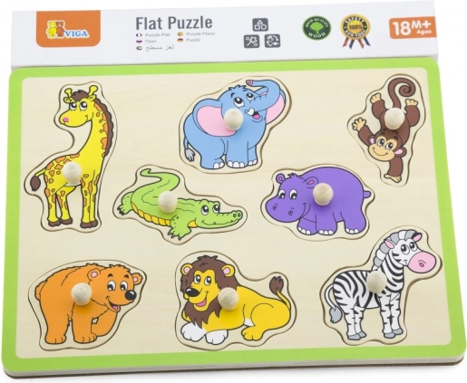 Colorful jungle animals that captivate