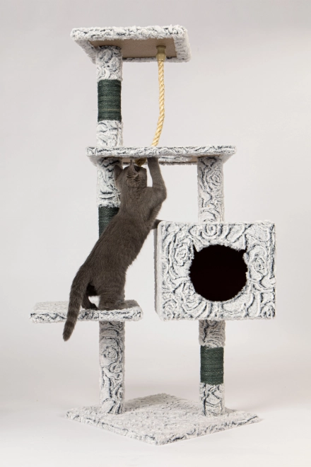 Grote krabpaal voor katten met huisje