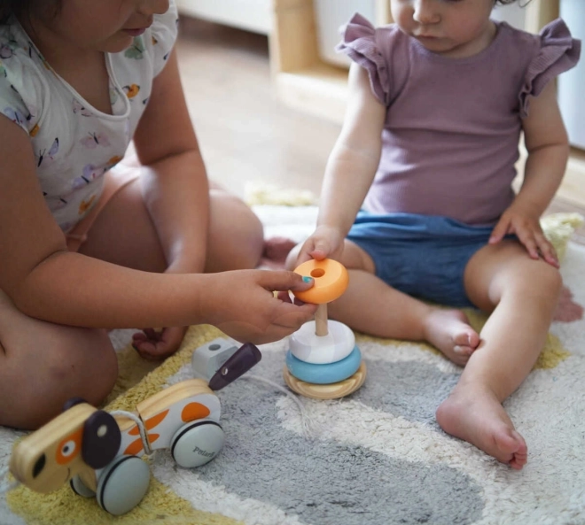 Stacking Pyramid Toy by POLAReB